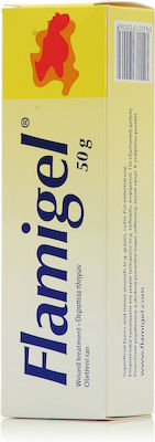 xlarge_20220302162444_olvos_science_flamigel_50gr Olvos Science Flamigel Gel για Εγκαύματα 50gr - Image 1