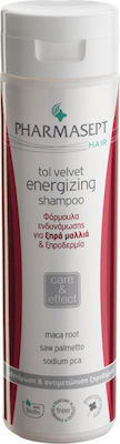 xlarge_20211102142046_pharmasept_tol_velvet_energizing_shampoo_dry_sodium_pca_250ml Pharmasept Tol Velvet Energizing Shampoo Dry Sodium PCA 250ml - Image 1