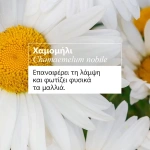 Klorane Camomille Shampoo Σαμπουάν για Ξανθιές Ανταύγιες με Χαμομήλι, 400ml - Image 3