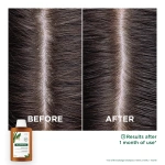 Klorane Galanga Σαμπουάν κατά της Πιτυρίδας για Όλους τους Τύπους Μαλλιών 400ml - Image 4